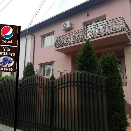 Casa Cattleya Hotel ทาร์กู จิอู ภายนอก รูปภาพ