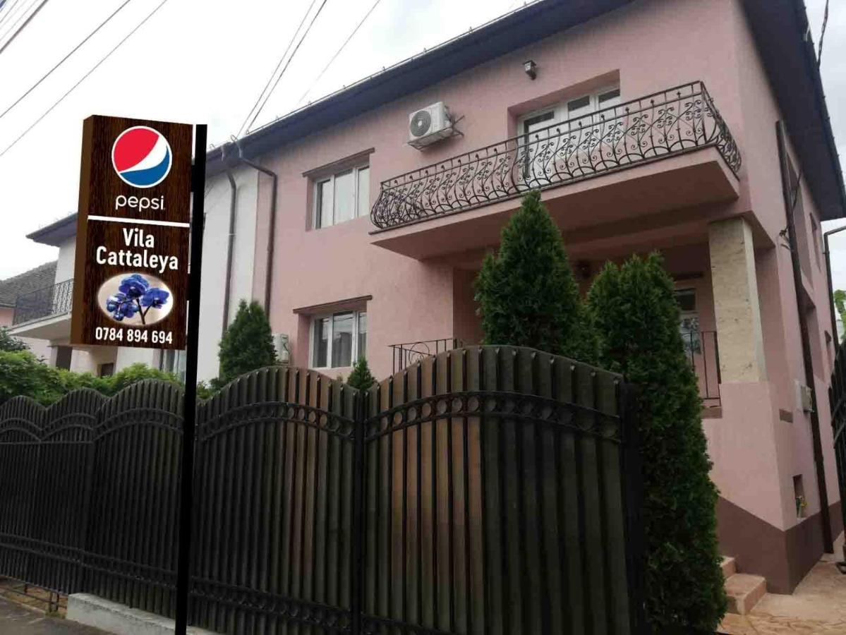 Casa Cattleya Hotel ทาร์กู จิอู ภายนอก รูปภาพ
